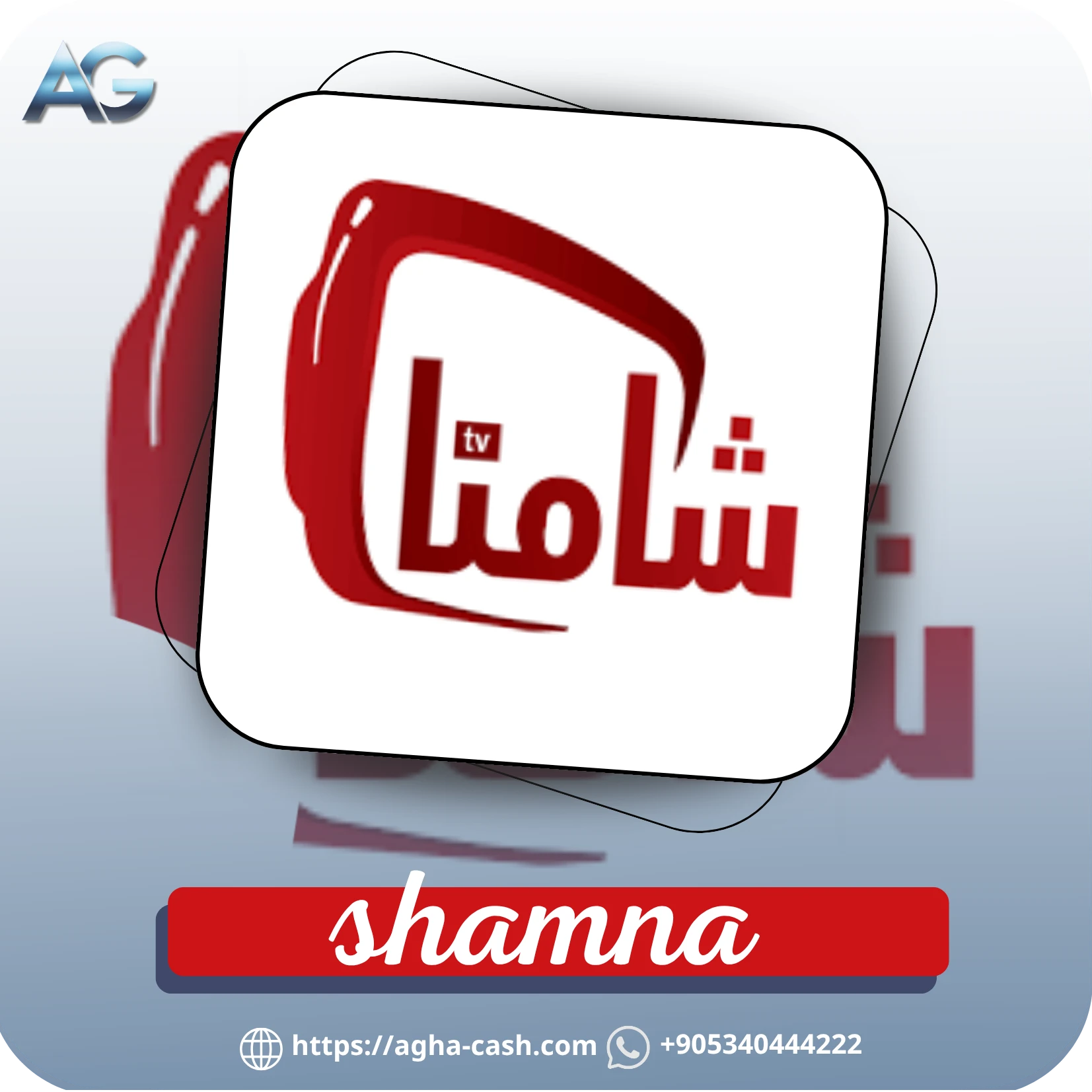 اشتراك شامنا لمدة 12 شهر